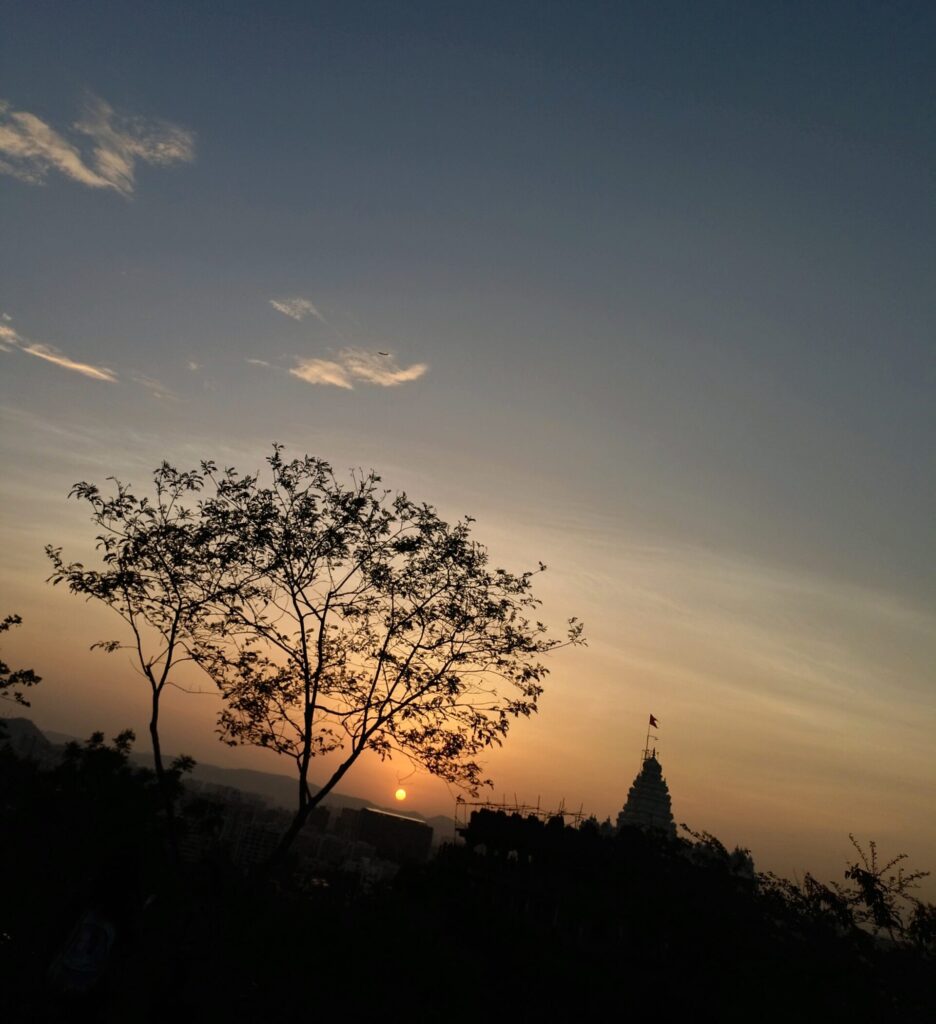 IMG 20230604 1858451 scaled e1743148639439